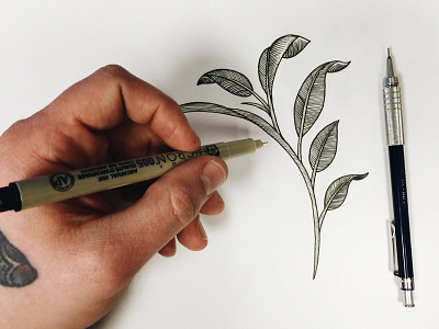 leaves black drawing flowers hatching illustration ink