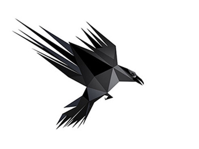 Crow bird black crow illustration triangle