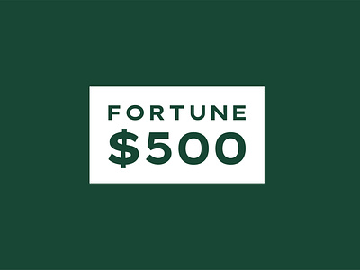 Fortune $500 brand identity