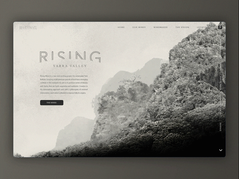 Rising Website Animation