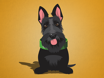 Scottish Terrier Illustration