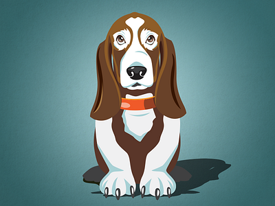 Basset Illustration