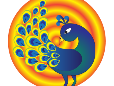 peacock graphic design