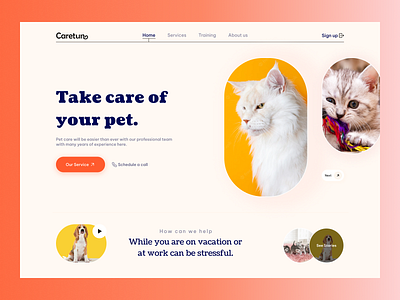 Take care of your pet graphic design pet pet petshop ui