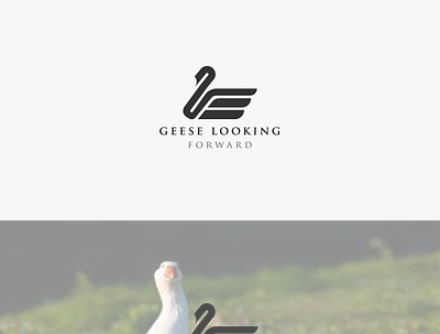 geese looking 3d animation branding design graphic design illustration logo motion graphics ui vector