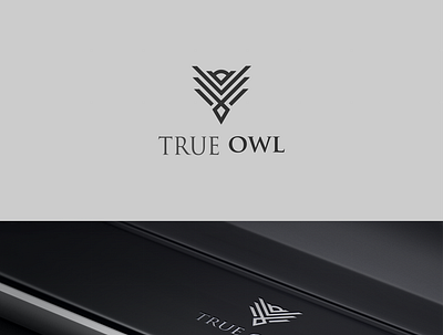 true owl 3d animation branding design graphic design illustration logo motion graphics ui vector