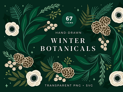 Christmas Botanical Illustrations 3d animation app branding design graphic design icon illustration logo motion graphics ui