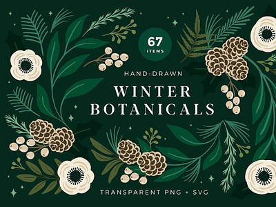 Christmas Botanical Illustrations