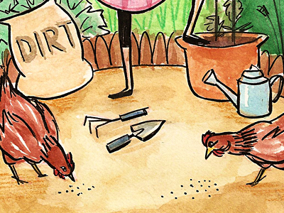 Chooks chickens chooks gardening illustration watercolour