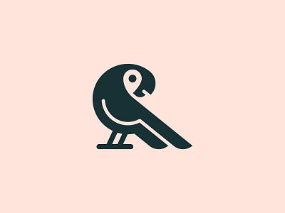 Parrot animal bird branding design icon logo minimal parrot