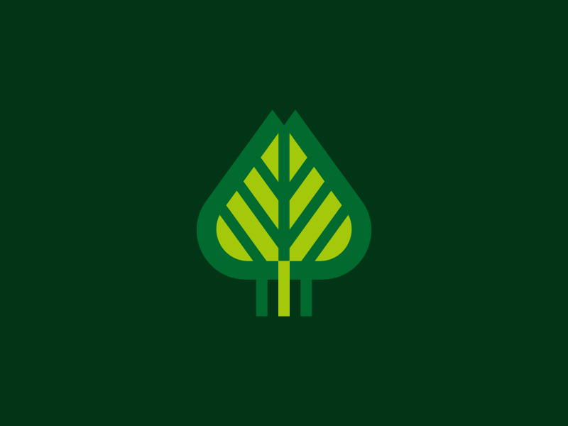 Forest 2