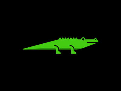 Crocodile