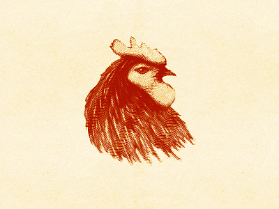 Rooster Illustration bird handmade head illustration retro rooster vintage