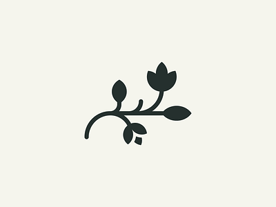 Plant branch brand branding cosmetic flower logo logo logodesign mark nature plant spring