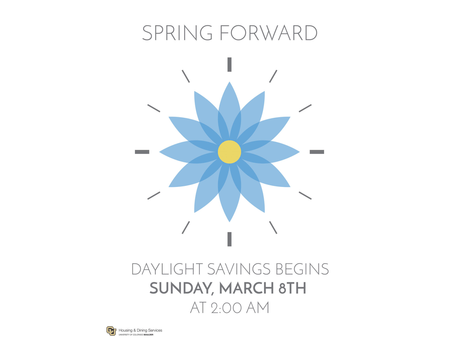 Spring Forward by Michael Reynoso on Dribbble