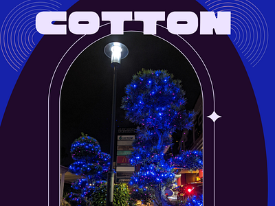 Cotton Candy Shrubs custom design design graphic design