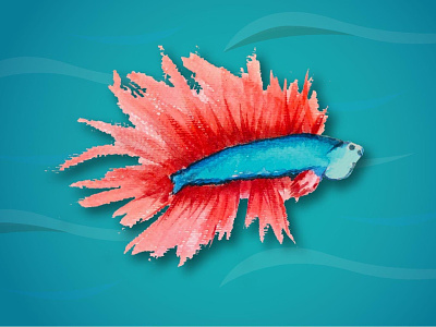 Leo 3d beta fish illustrator pet watercolor