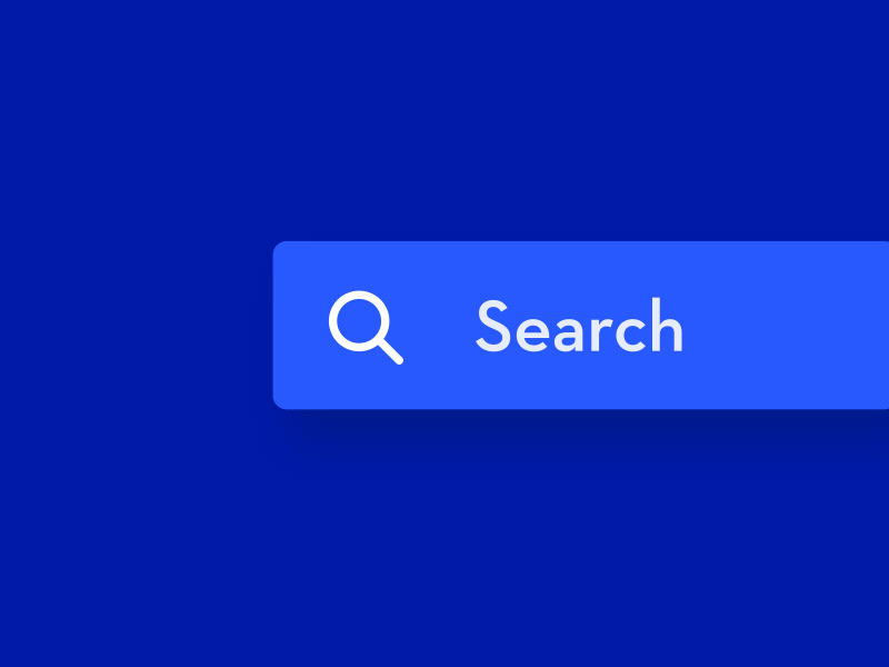 Search Interaction ae animation search