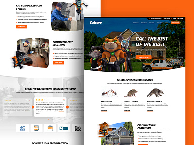 Catseye Pest Control Web Design branding design icon logo pest pest control typography ui ux web design website
