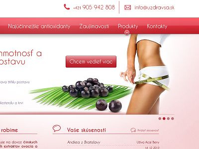 Uzdravsa.sk 2013 webdesign