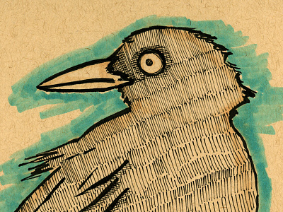 Crow animals birds crow drawing illustration ink