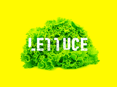 Lettuce design food lettuce
