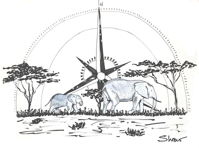 Inktober 2021 - COMPASS drawing illustration inktober sketch