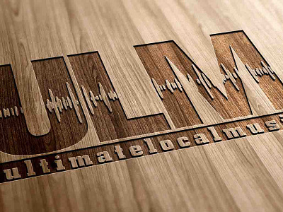 Ultimate Local Music Logo Design graphic design graphic designer logo logo design logo designer music logo music logo design sound wave logo