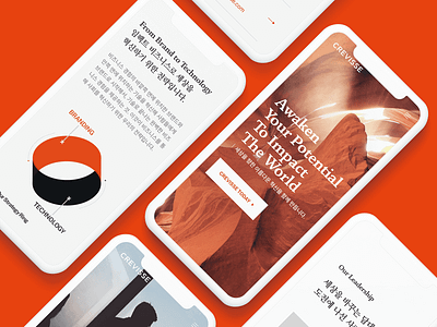 Crevisse Branding & Website Renewal branding crevisse design identity orange sun ui web