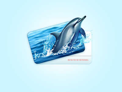 Dolphin Card dolphin retouch