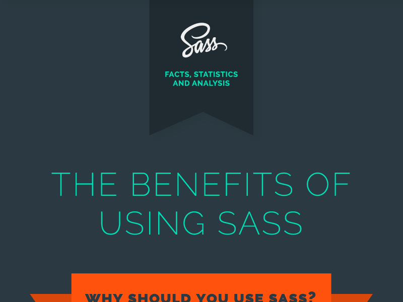 Sass Infographic animation infographic knowledge less research sass timesaver
