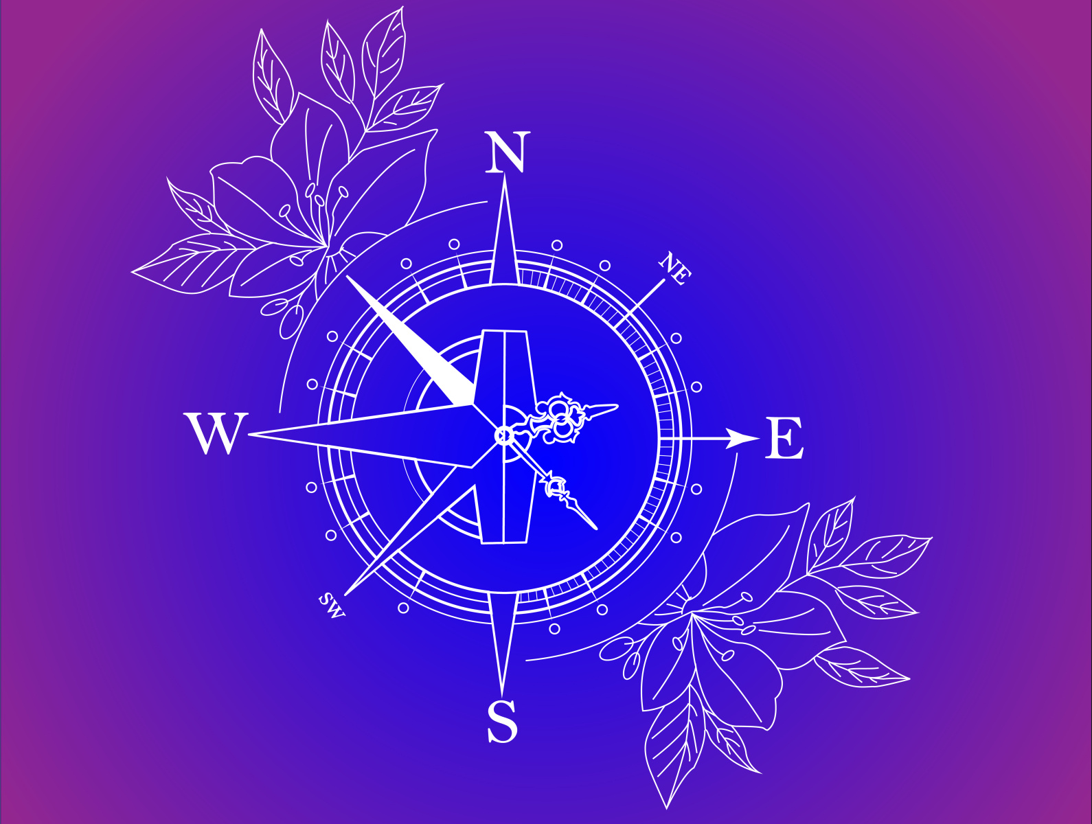 Компас by Данил Мальцев on Dribbble