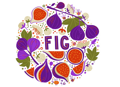 Fig bright circle elements fig flat fruit green illustration juicy vector