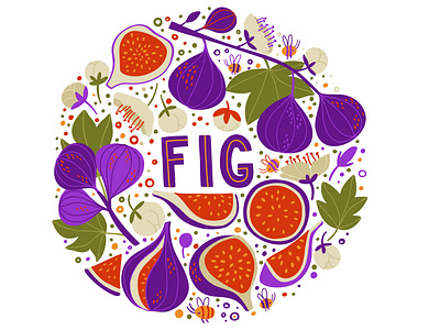 Fig