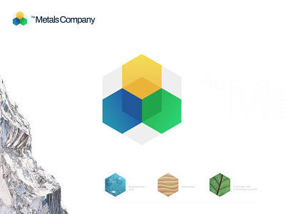 The Metals Company brand identity branding clean energy company hexagon kharkiv logo logo designer mark icon emblem metal modern minimal flat shape new york ukraine