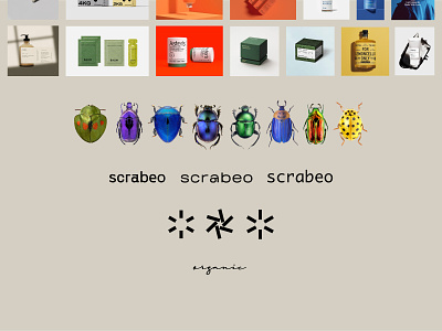 Scrabeo Brand Identity beige brand identity branding bug conceptual cosmetic kharkiv logo logo designer new york package rough scarab scrub startup ukraine