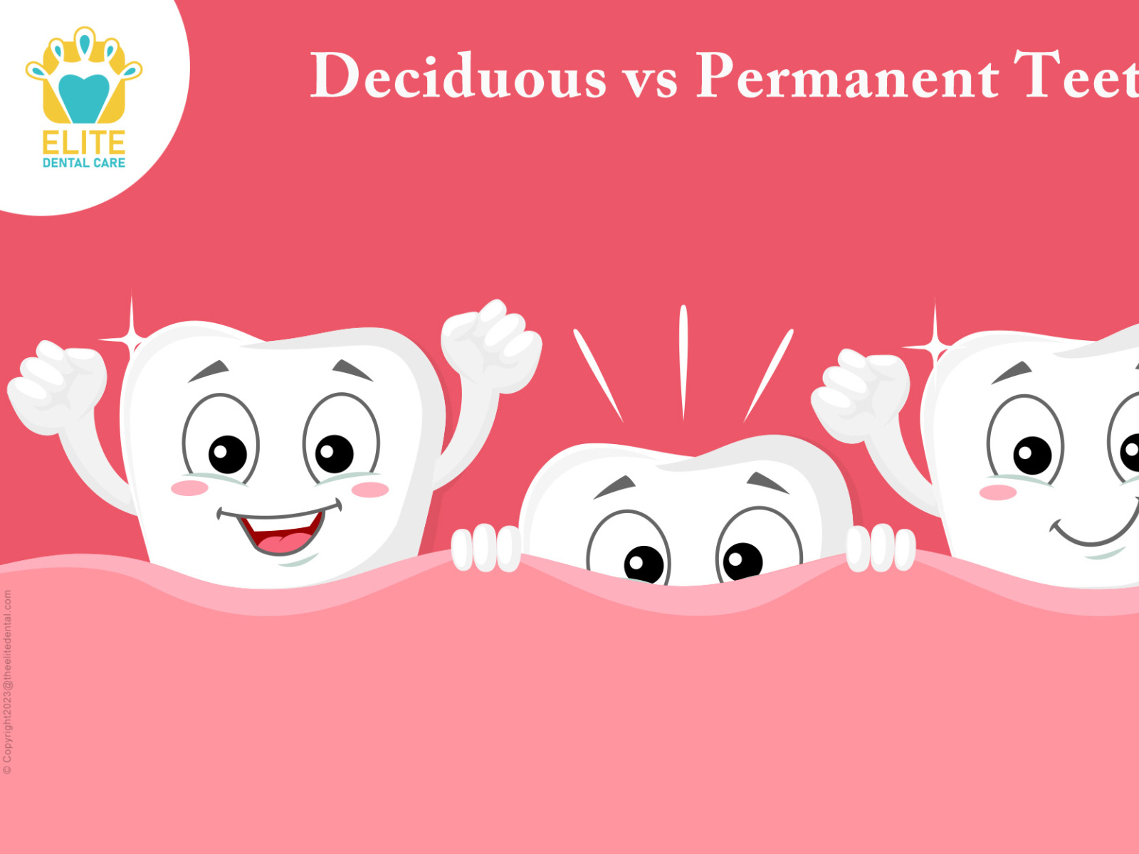 deciduous-vs-permanent-teeth-by-elite-dental-care-on-dribbble