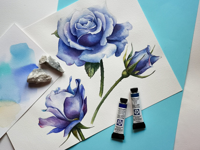 Blue watercolor roses design graphic design illustration painting typography watercolor
