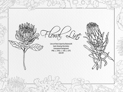 Floral Line Art Clipart.