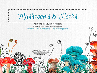 Mushrooms & Herbs Watercolor and Line art Clipart.