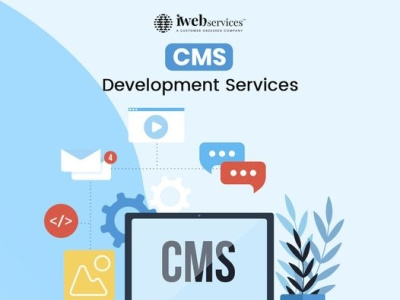 What are the Hiring Custom CMS Design and Development Services cms web development services