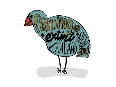 Takahe the New Zealand Bird bird colour illustration ixdbelfast nationalgeoraphic photography typography vector