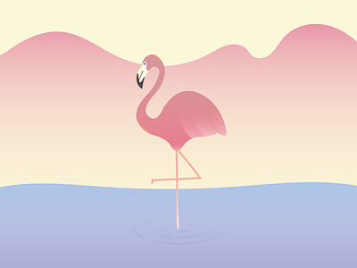 Flamingo