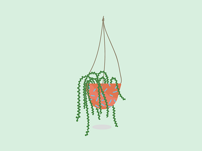 String Of Pearls gardening graphicdesign houseplants illustration plants