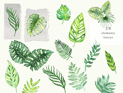 Watercolor clipart grenery leaves illustration.Frame and wreath. adventure paintings branding clipart design for printing frame graphic design hand painted illustration kids landscape logo patterns png tropic ui wall paper watercolor watercolor clipart watercolor drawing