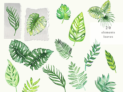 Watercolor clipart grenery leaves illustration.Frame and wreath. adventure paintings branding clipart design for printing frame graphic design hand painted illustration kids landscape logo patterns png tropic ui wall paper watercolor watercolor clipart watercolor drawing