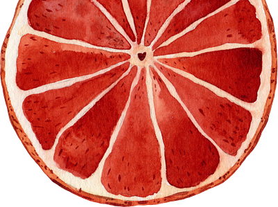 Watercolor citrus illustration