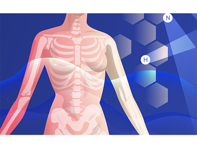 the physics of your body.. detail anatomy body molecules physics skeleton