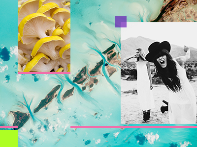 TCH Collage identity design mood board branding
