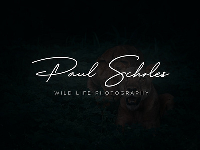 Photography Signature logo handwritten logo style luxury photography logo photography logo photography logo style signature logo wild life logo wild life photographer logo